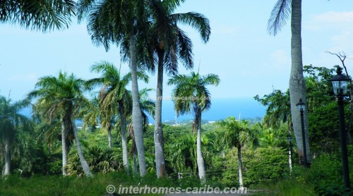 photos for SOSUA: LOT PALM GARDEN 1 590 M2